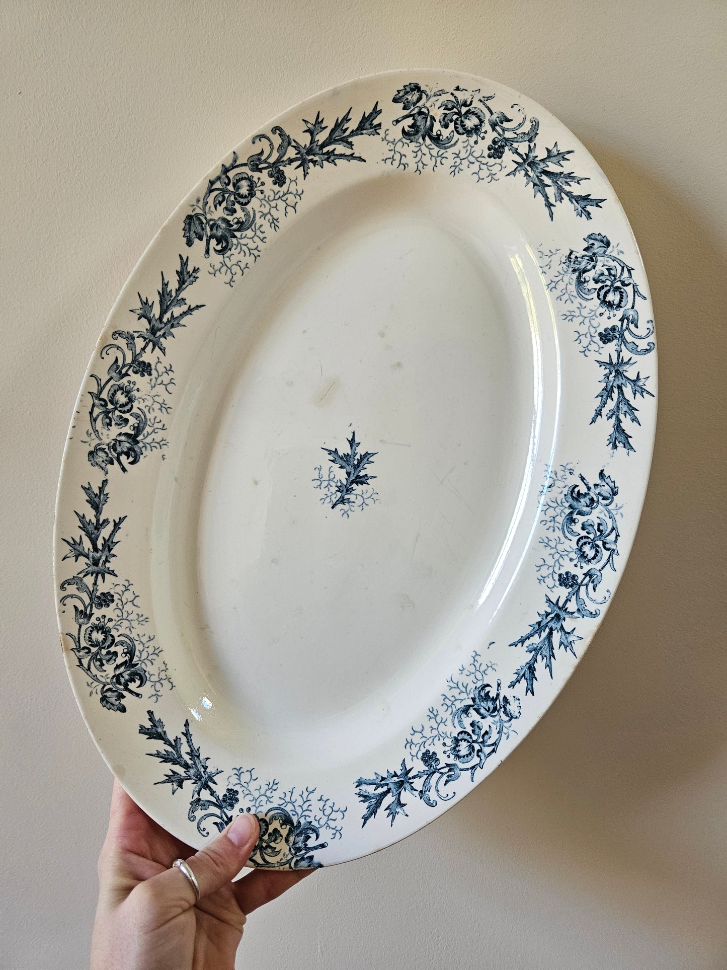 Plat ovale Longwy, Cyrano