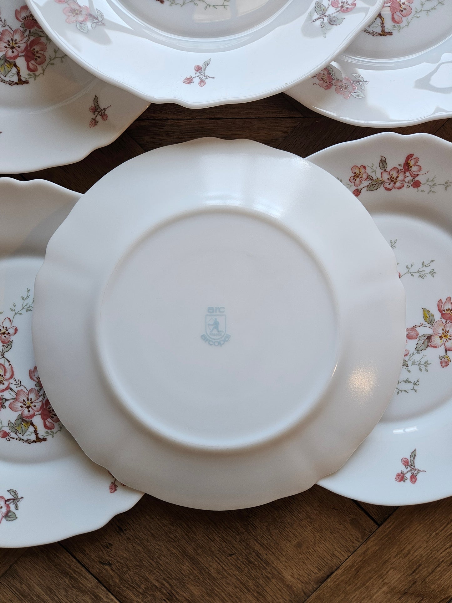 Assiettes plates Arcopal, Florentine