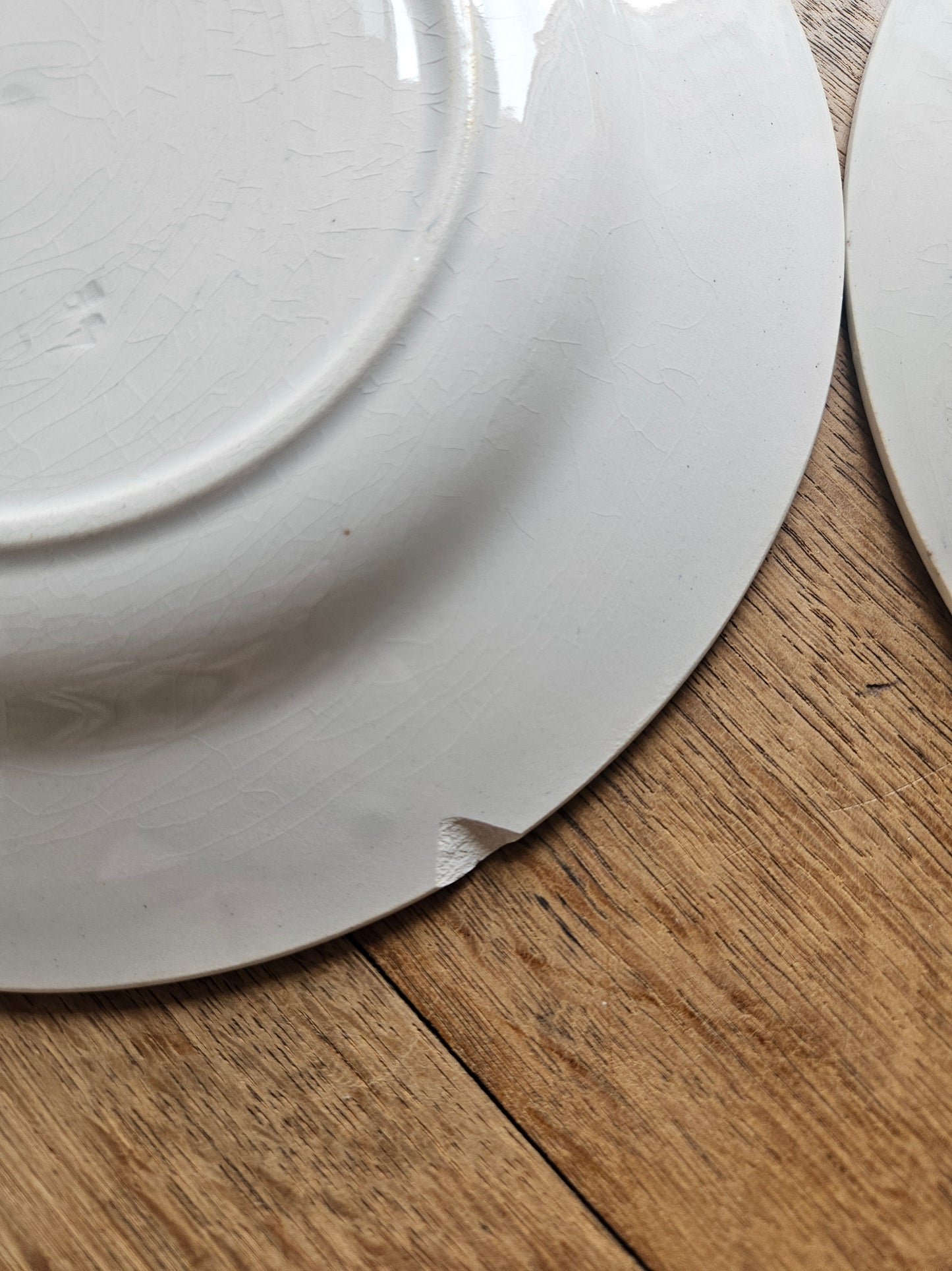 Assiettes plates Hossegor