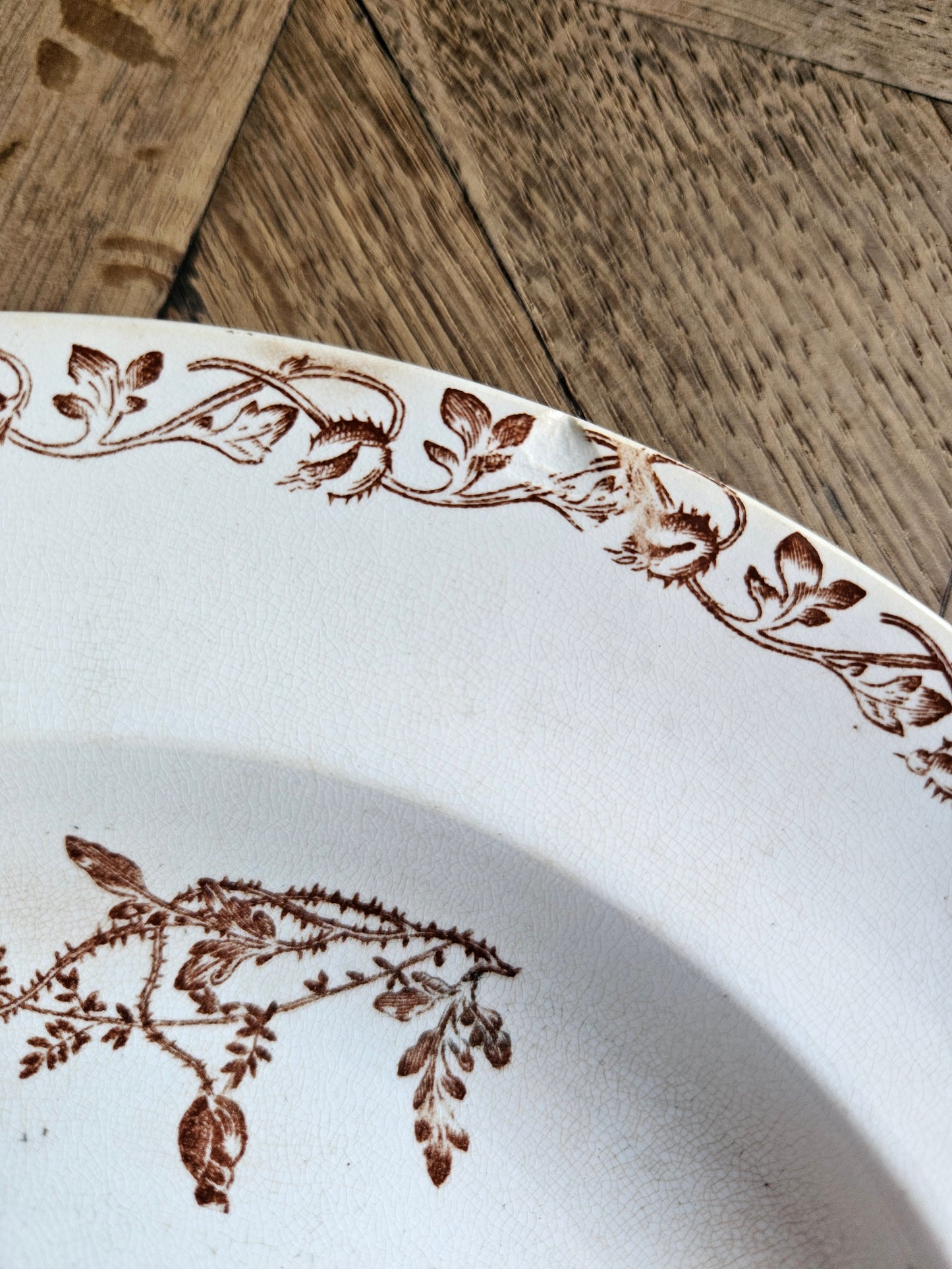 Assiettes creuses terre de fer, coquelicots