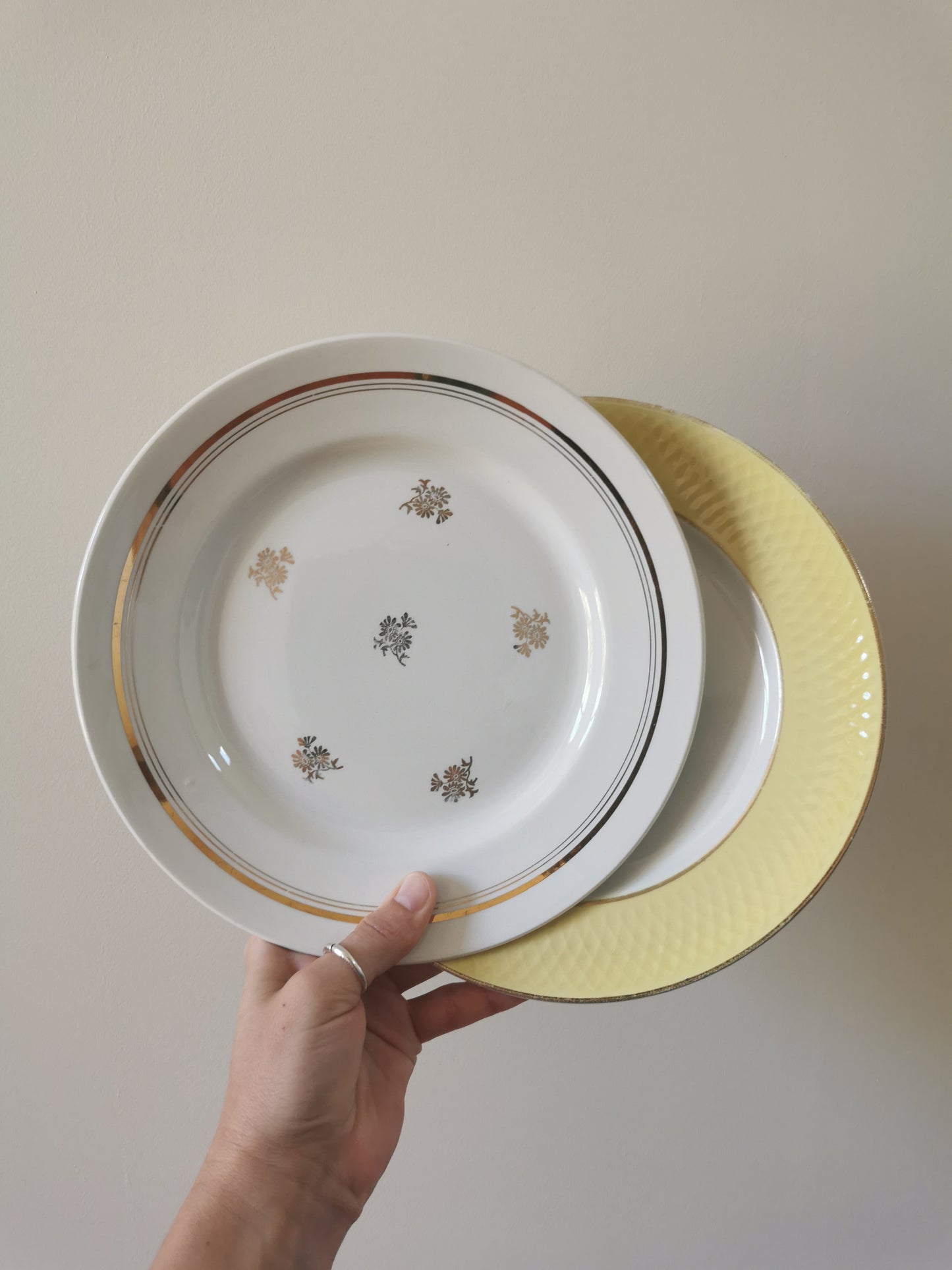 Assiettes plates vintage dépareillées