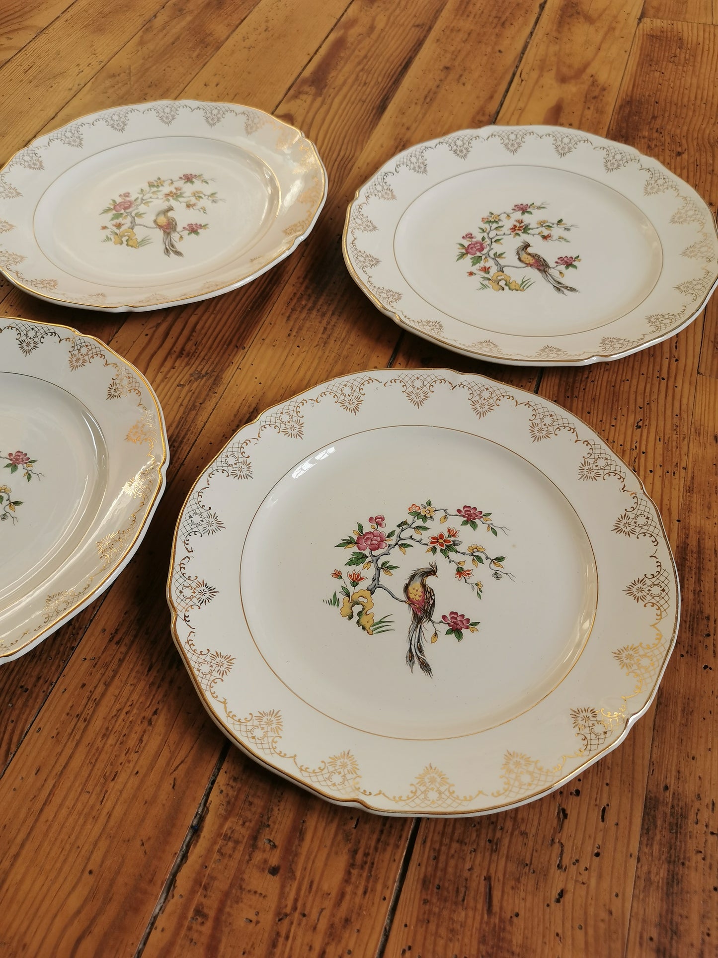 Assiettes plates dépareillées Oiseaux