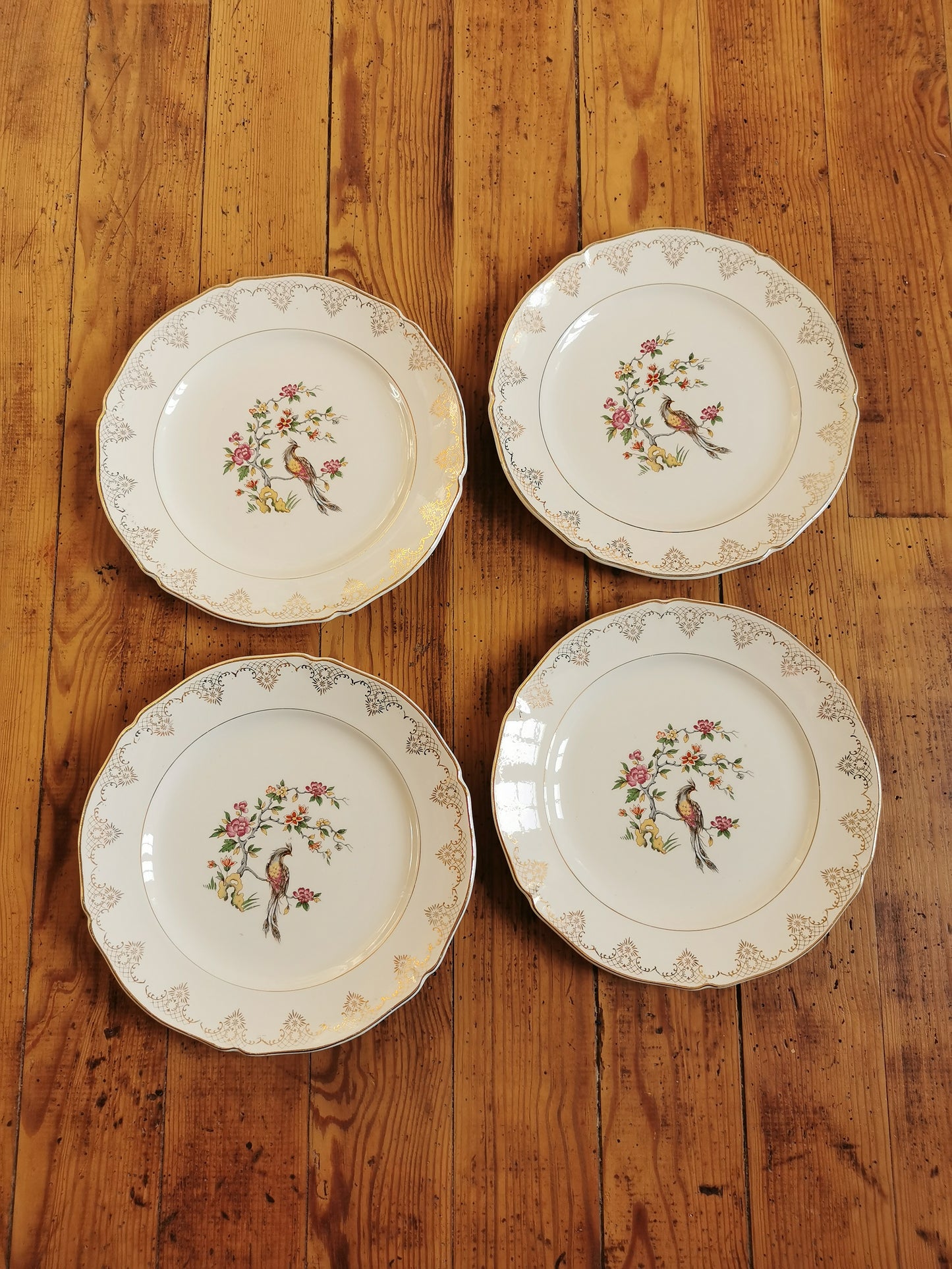Assiettes plates dépareillées Oiseaux