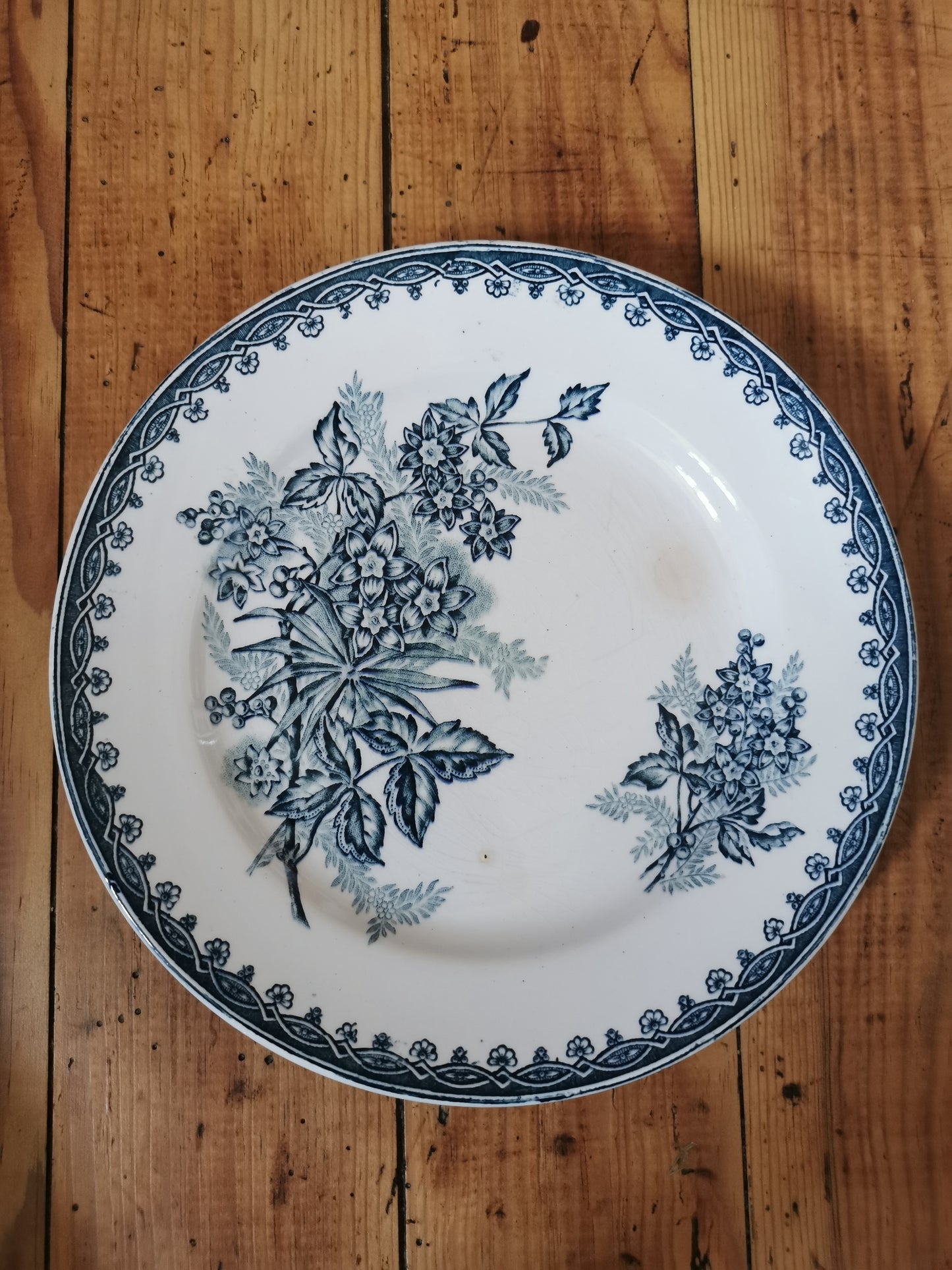 Assiettes plates Ste Amandinoise, Margot