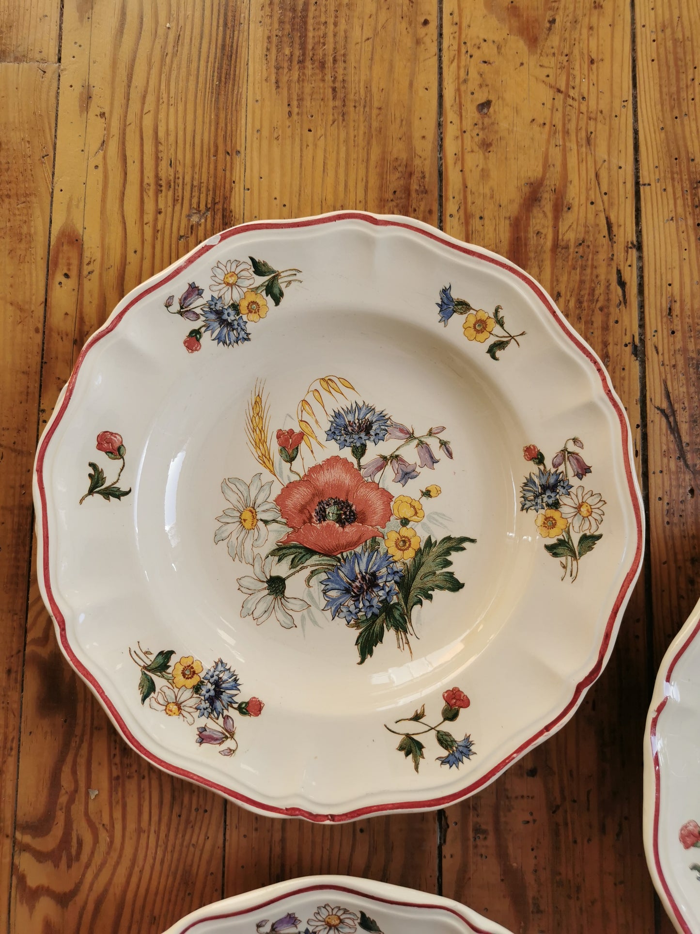 Assiettes creuses vintage Sarreguemines, Agreste