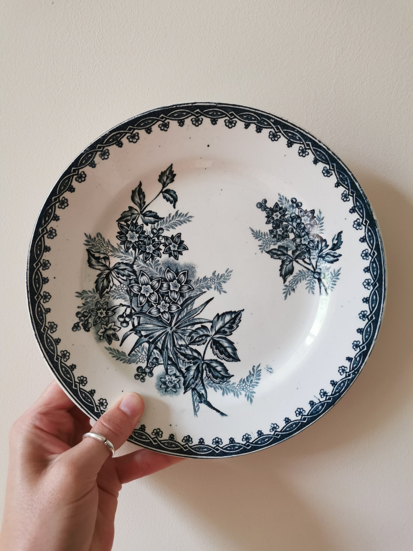 Assiettes plates Ste Amandinoise, Margot