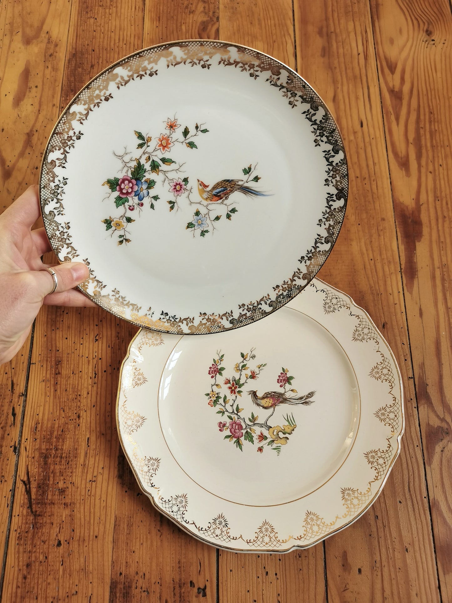 Assiettes plates dépareillées Oiseaux