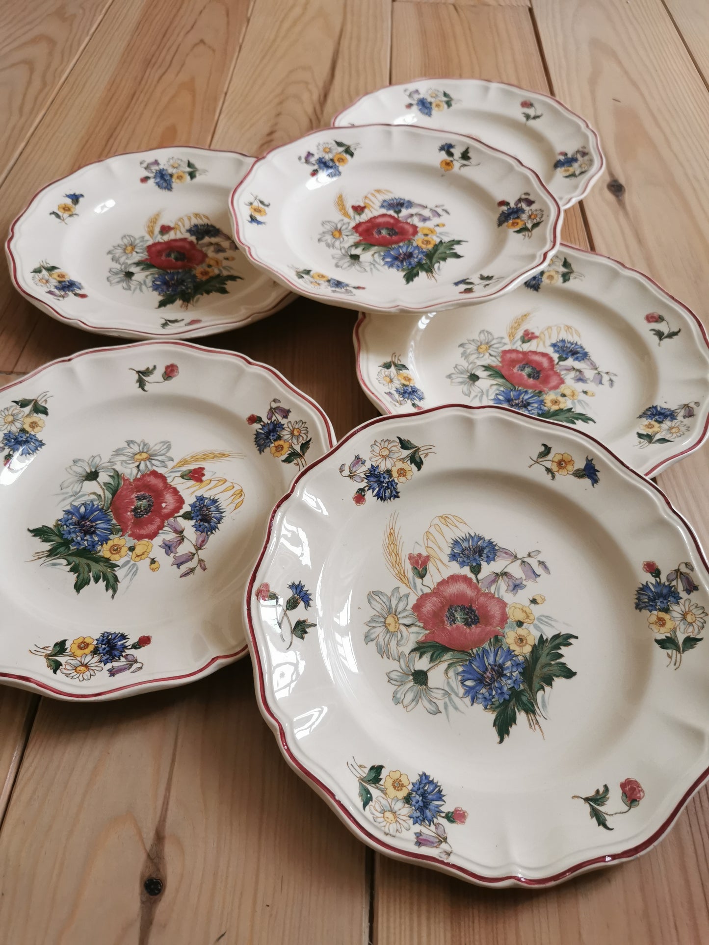 Assiettes plates Sarreguemines, Agreste