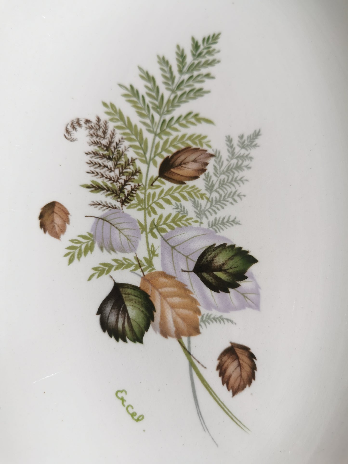 Raviers Digoin, Thais