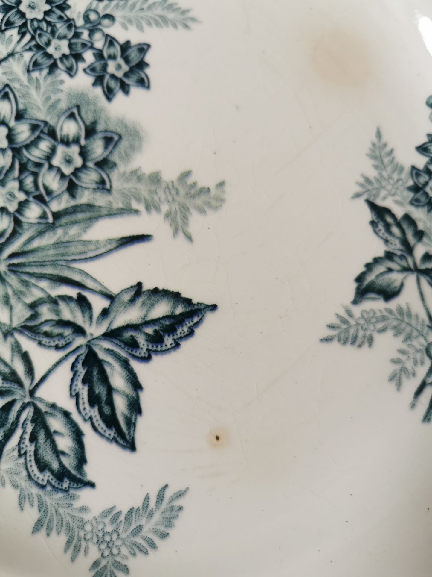 Assiettes plates Ste Amandinoise, Margot