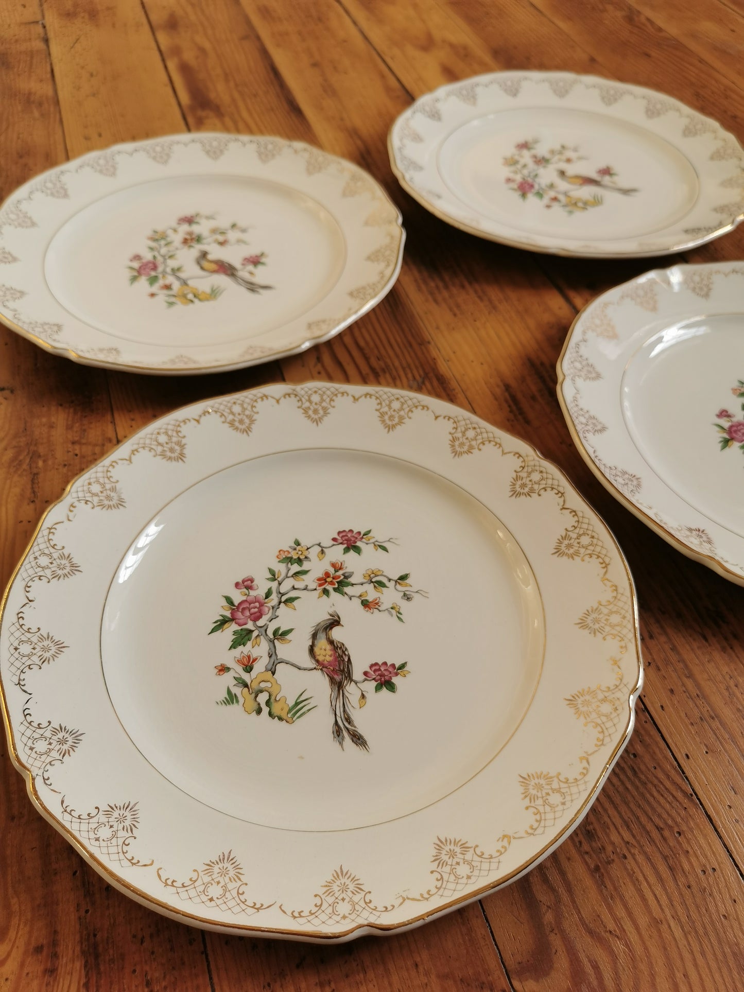 Assiettes plates dépareillées Oiseaux