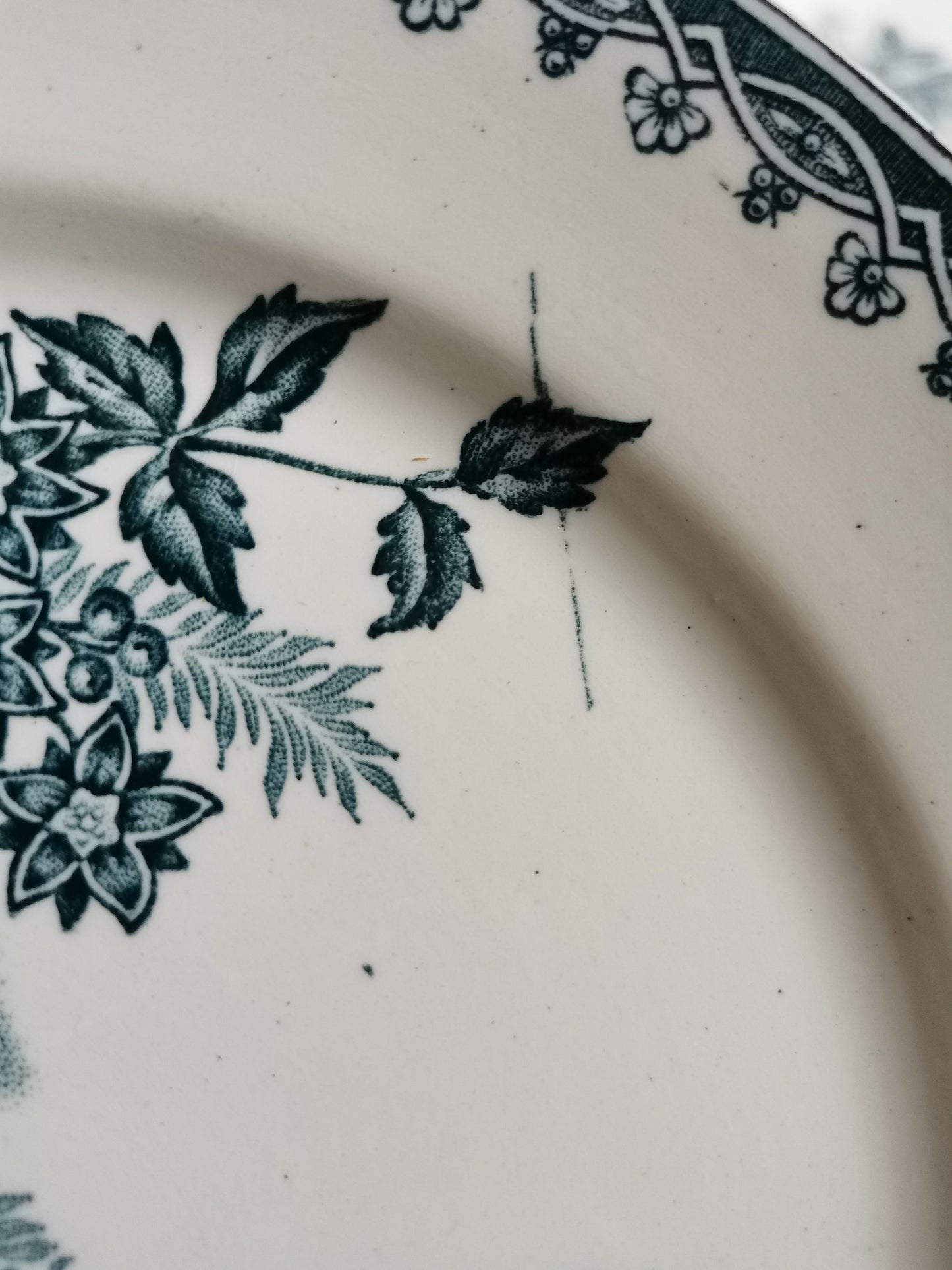 Assiettes plates Ste Amandinoise, Margot