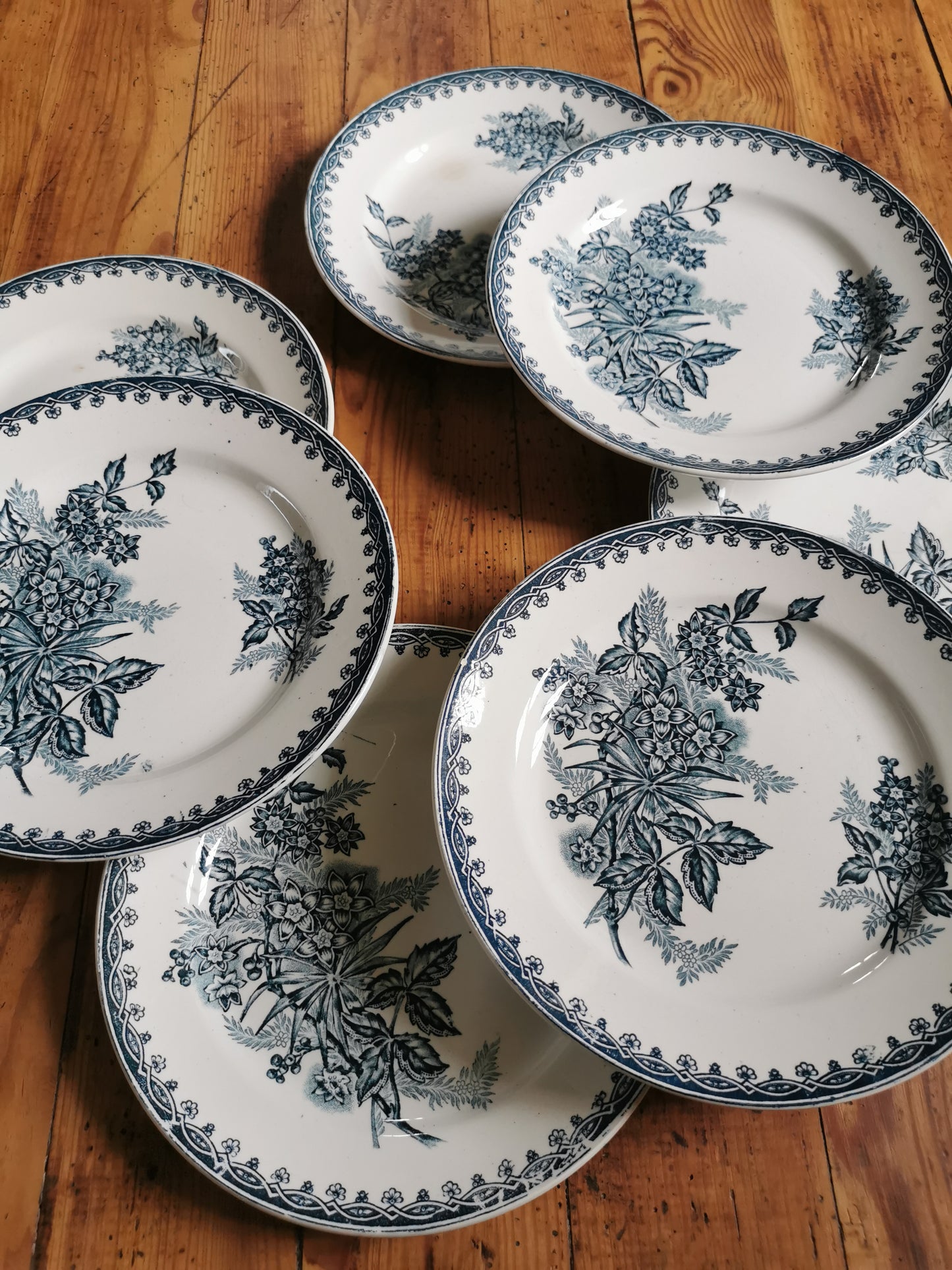 Assiettes plates Ste Amandinoise, Margot