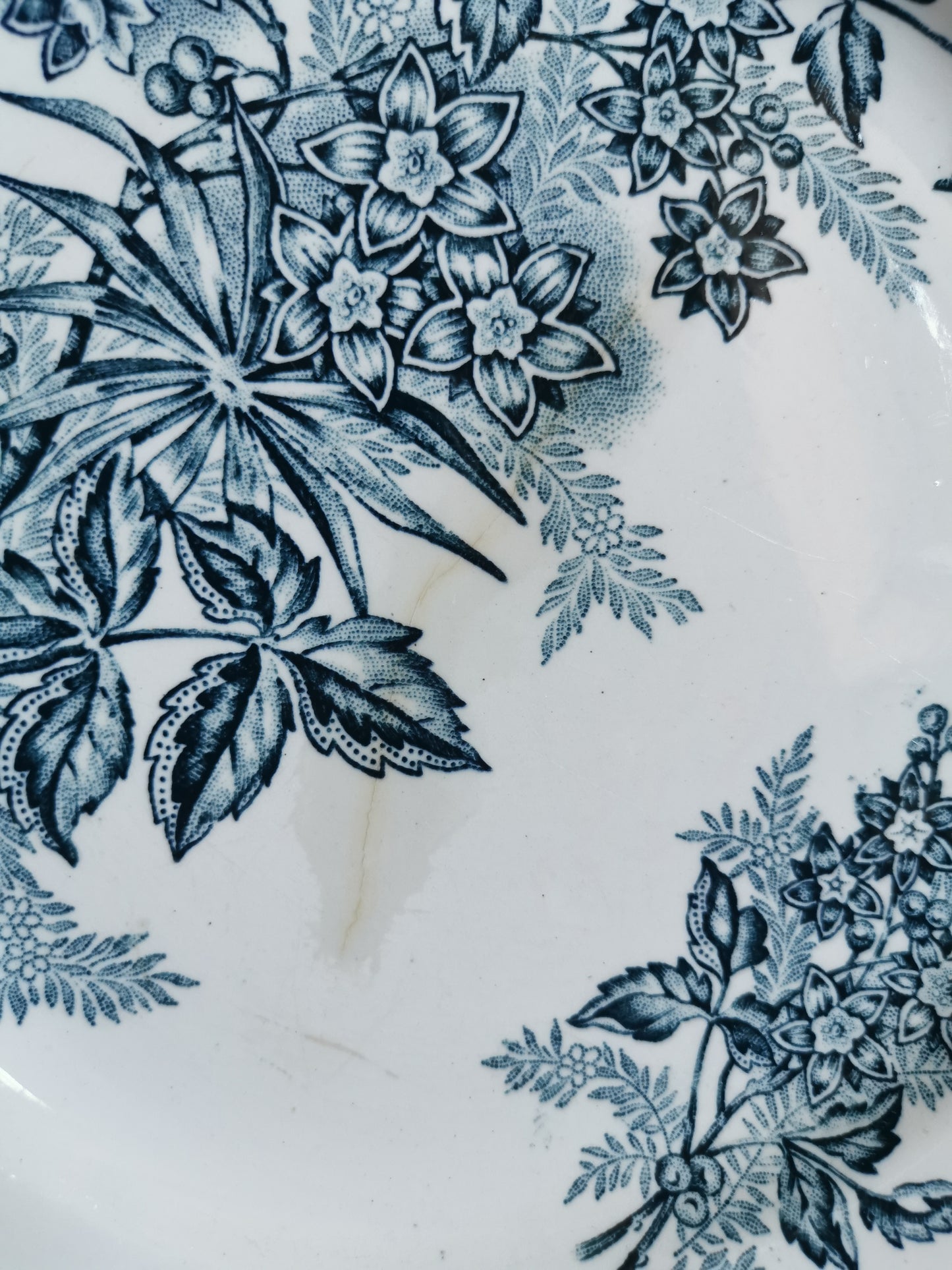Assiettes plates Ste Amandinoise, Margot