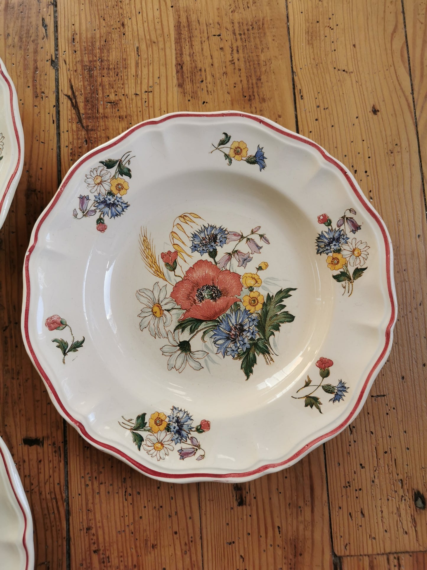 Assiettes creuses vintage Sarreguemines, Agreste