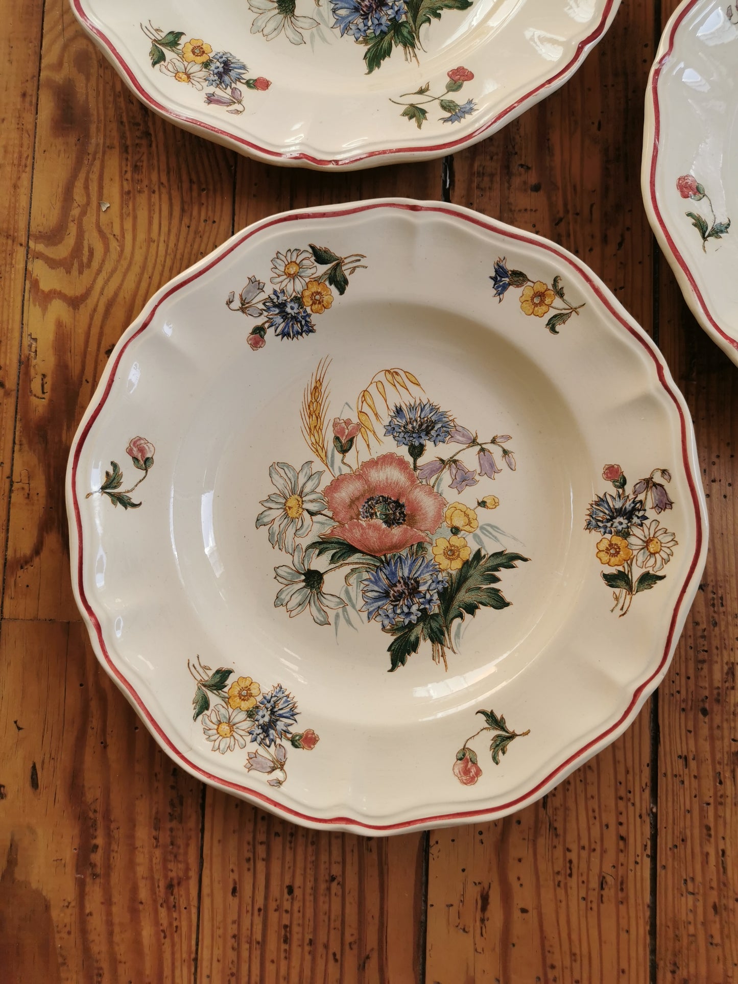 Assiettes creuses vintage Sarreguemines, Agreste