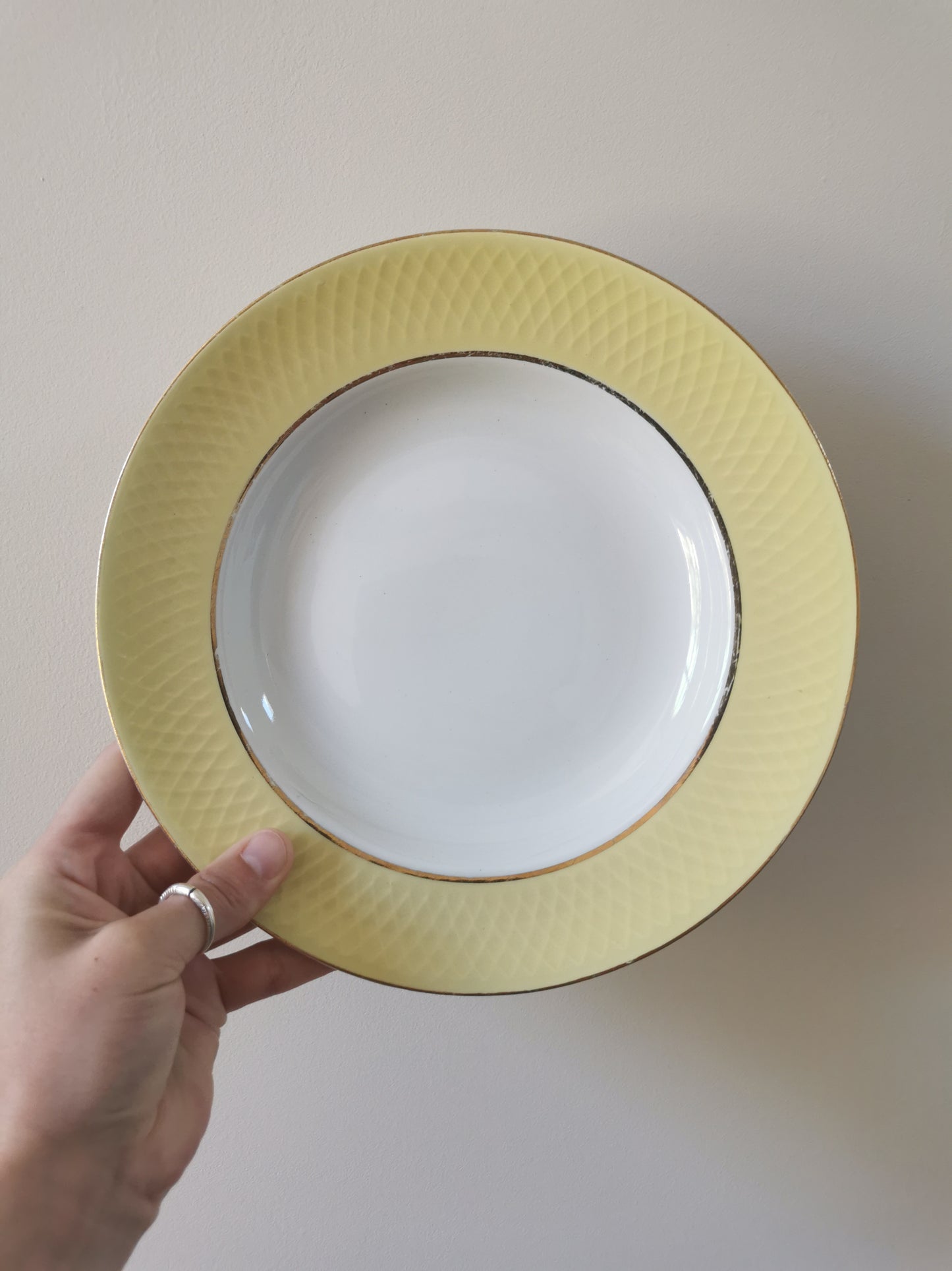 Assiettes creuses vintage Moulin des Loups
