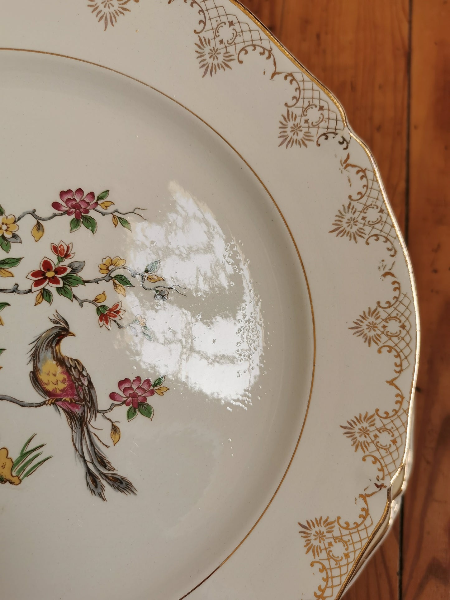 Assiettes plates dépareillées Oiseaux