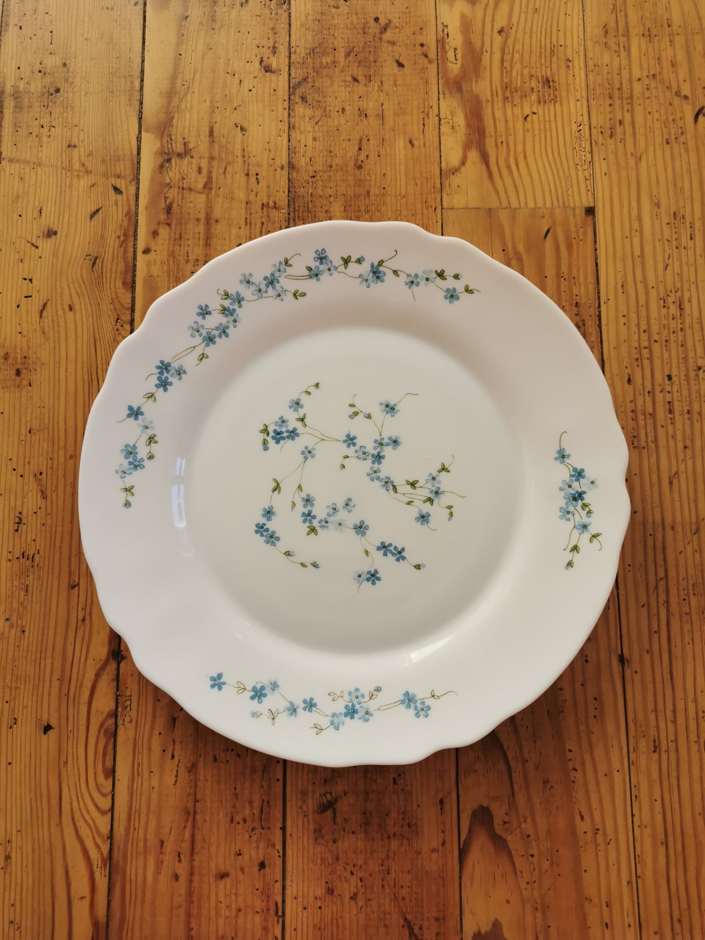 Plat vintage Arcopal Myosotis