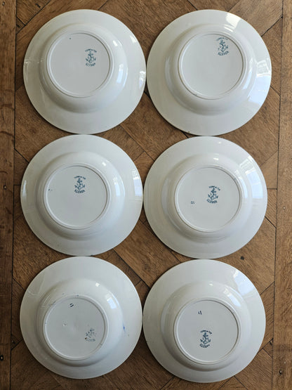 Assiettes creuses Clairefontaine, Kleber