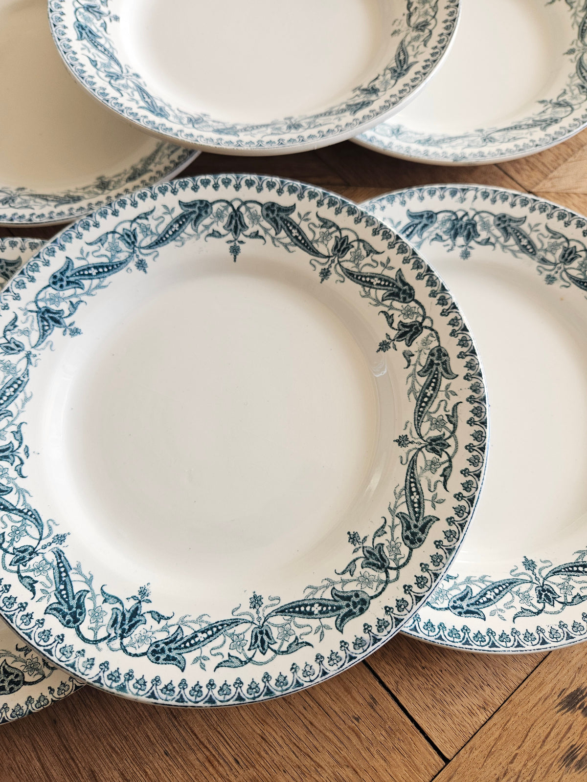 Assiettes plates Clairefontaine, Kleber