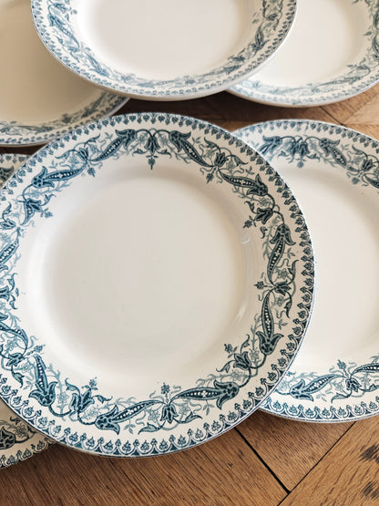 Assiettes plates Clairefontaine, Kleber