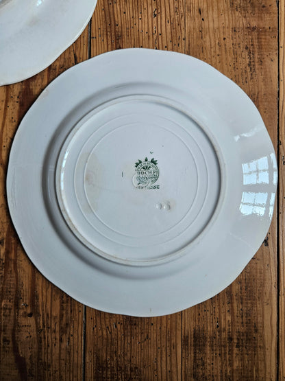 Assiettes plates Boch Frères, Duchesse