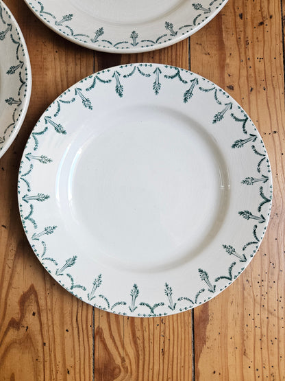 Assiettes plates Gien