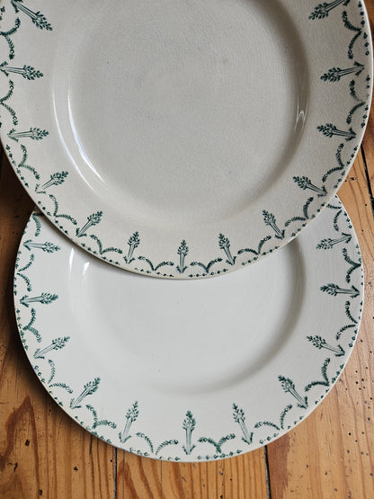 Assiettes plates Gien