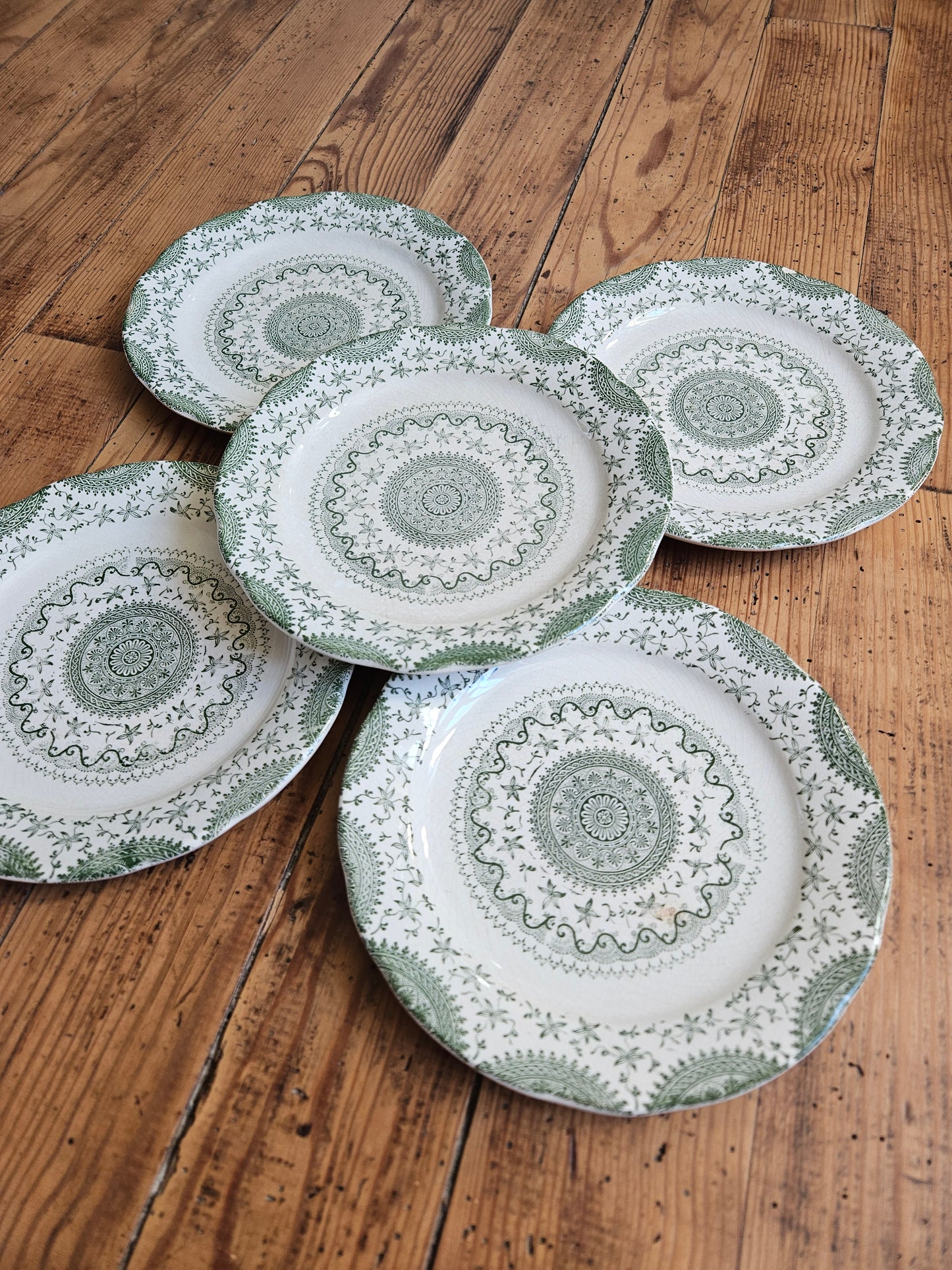 Assiettes anglaises "Mandala" vertes