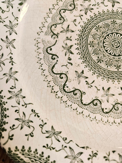 Assiettes anglaises "Mandala" vertes