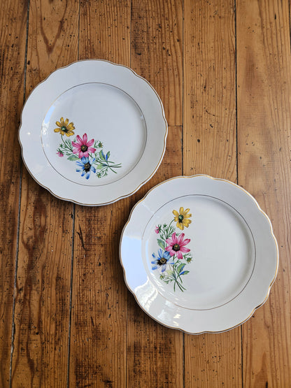 Assiettes plates dépareillées, vert pomme / jaune / fleurs