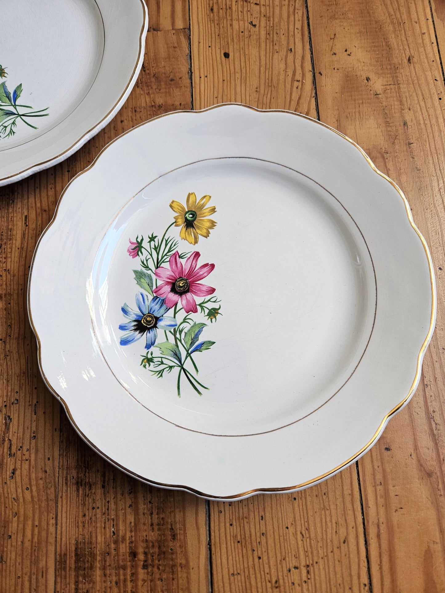 Assiettes plates dépareillées, vert pomme / jaune / fleurs