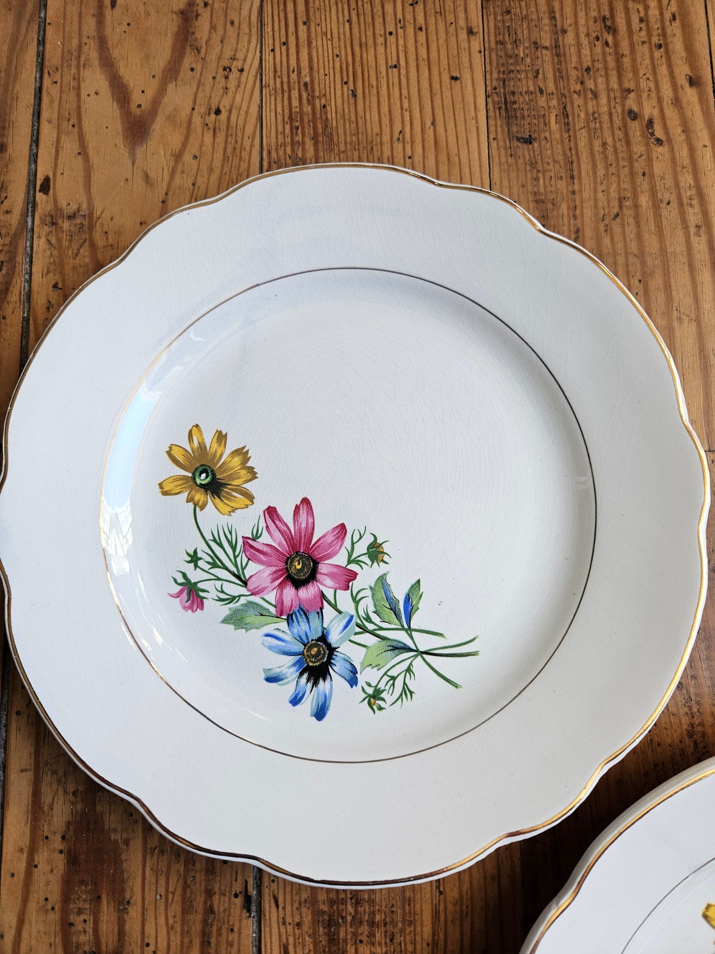 Assiettes plates dépareillées, vert pomme / jaune / fleurs