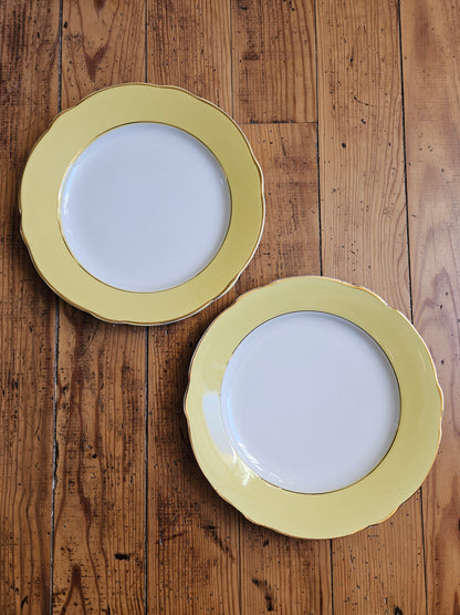 Assiettes plates dépareillées, vert pomme / jaune / fleurs