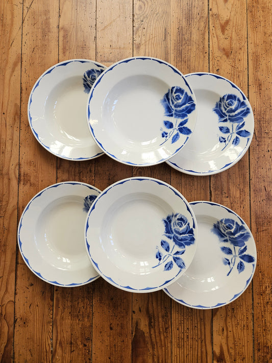 Assiettes creuses Ceranord, Daisy