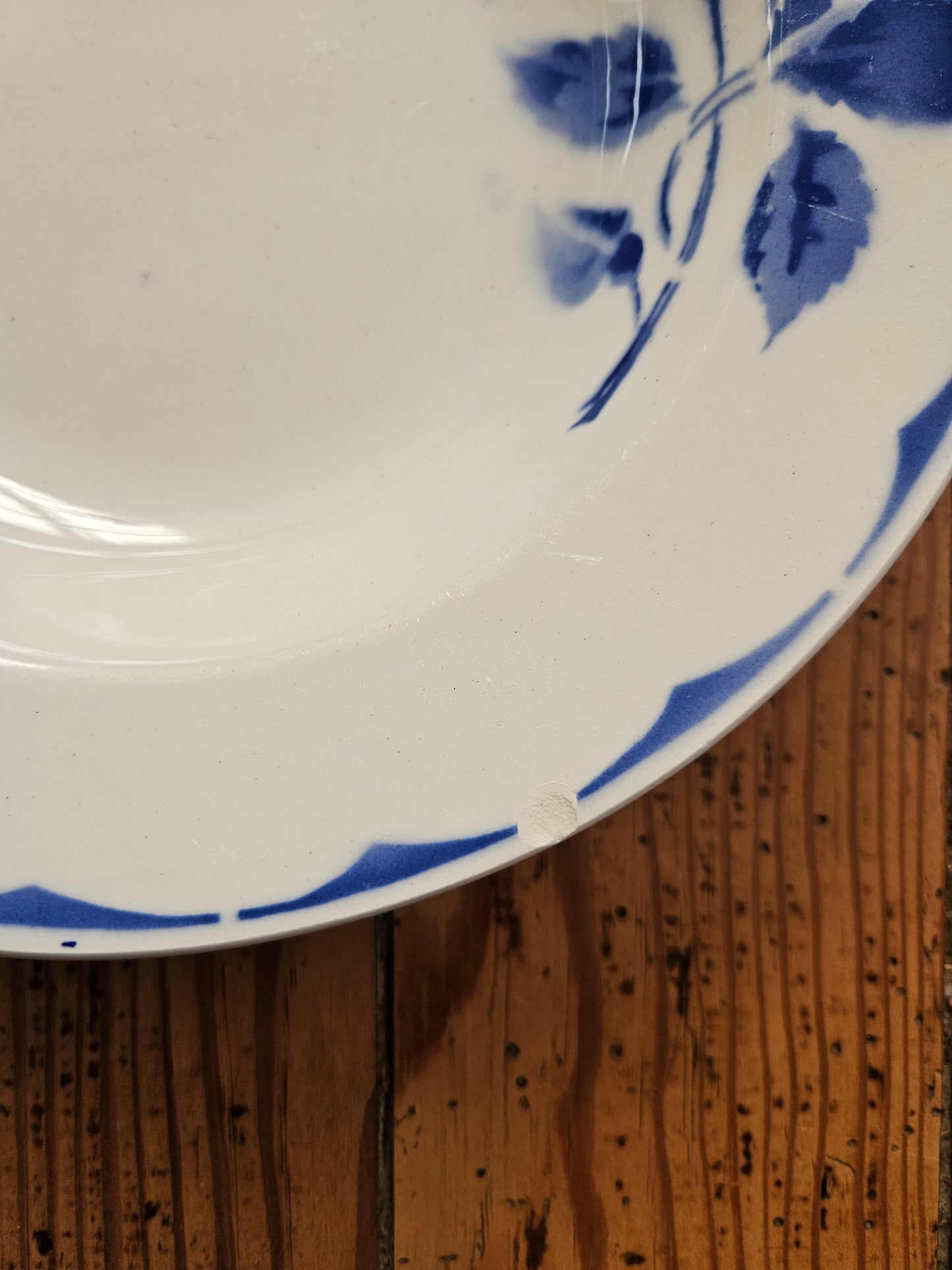 Assiettes creuses Ceranord, Daisy
