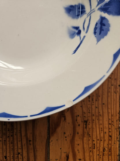 Assiettes creuses Ceranord, Daisy