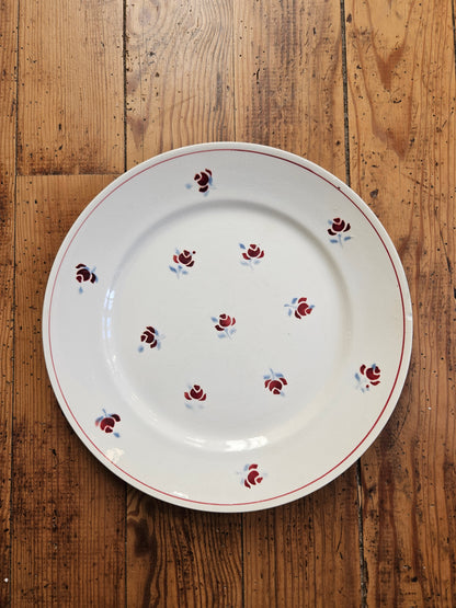 Plat rond Ceranord, Rosettes