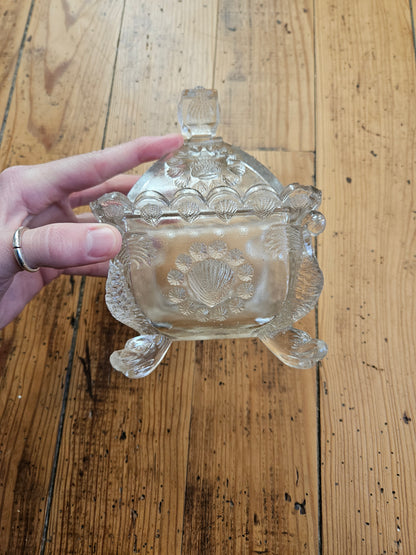 Bonbonnière coquillages