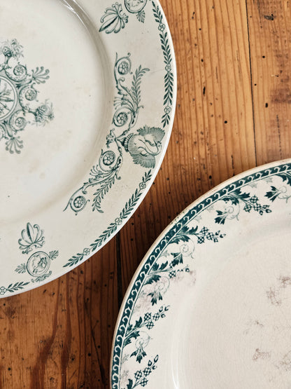 Duo d’assiettes plates dépareillées vertes