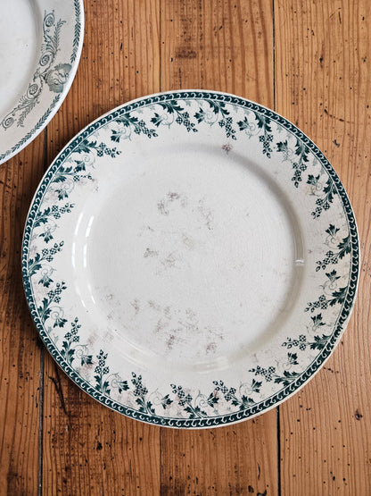 Duo d’assiettes plates dépareillées vertes