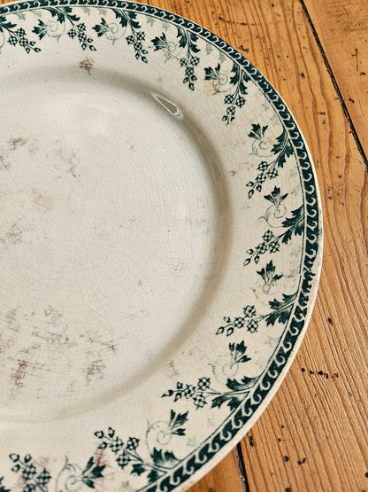Duo d’assiettes plates dépareillées vertes