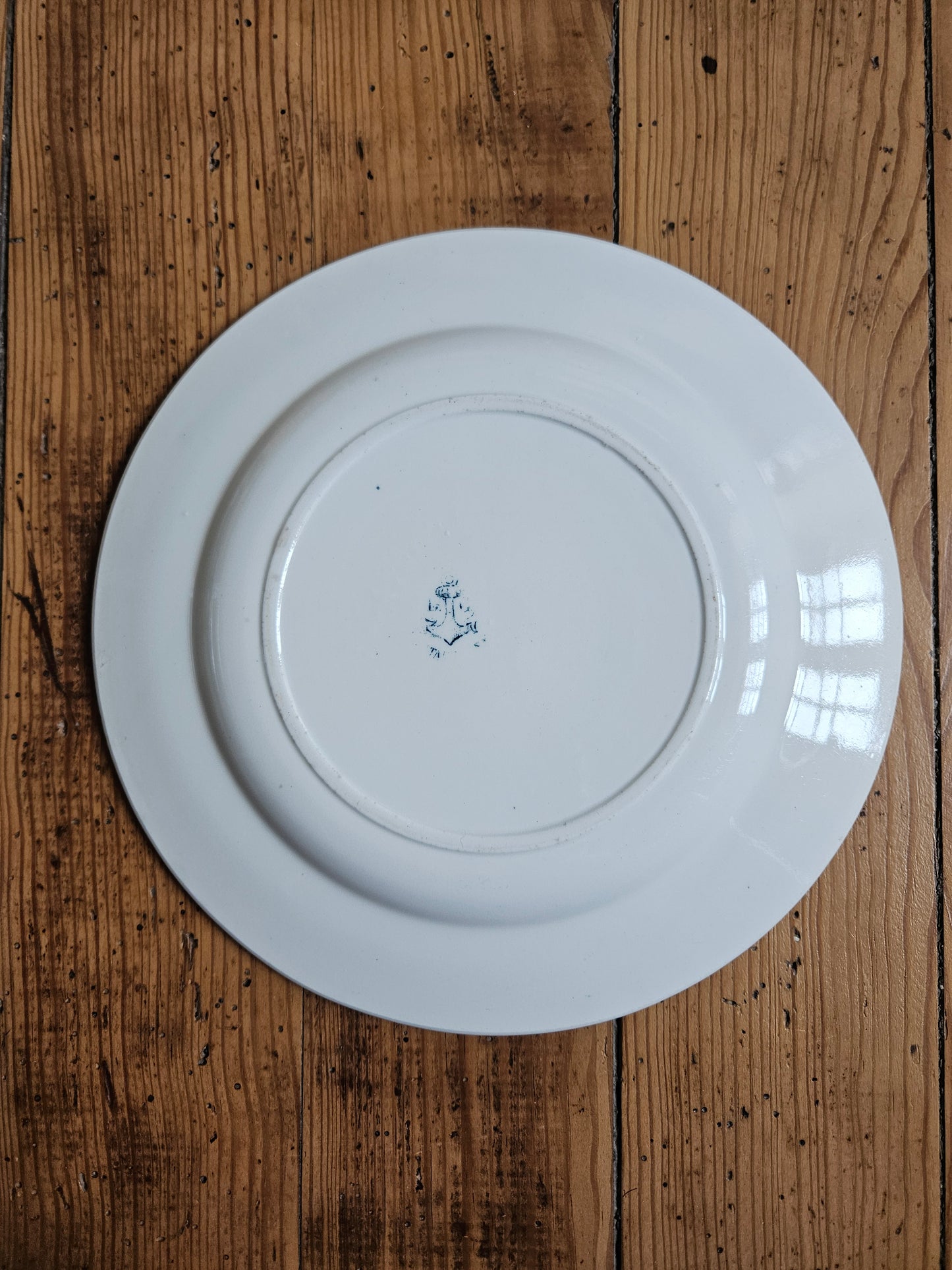 Duo d’assiettes plates dépareillées bleues