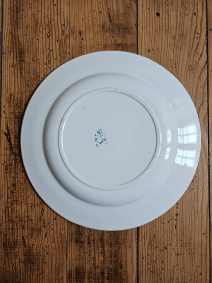 Duo d’assiettes plates dépareillées bleues