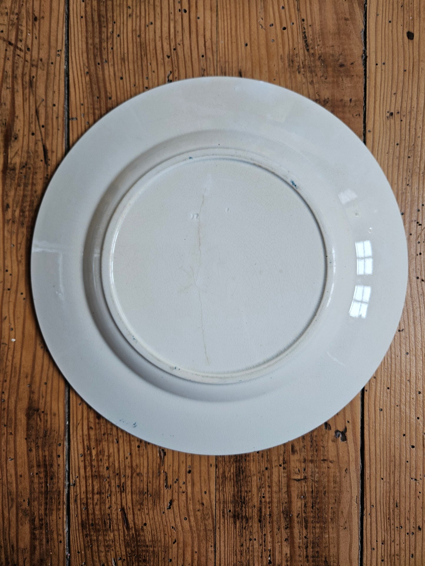 Duo d’assiettes plates dépareillées bleues
