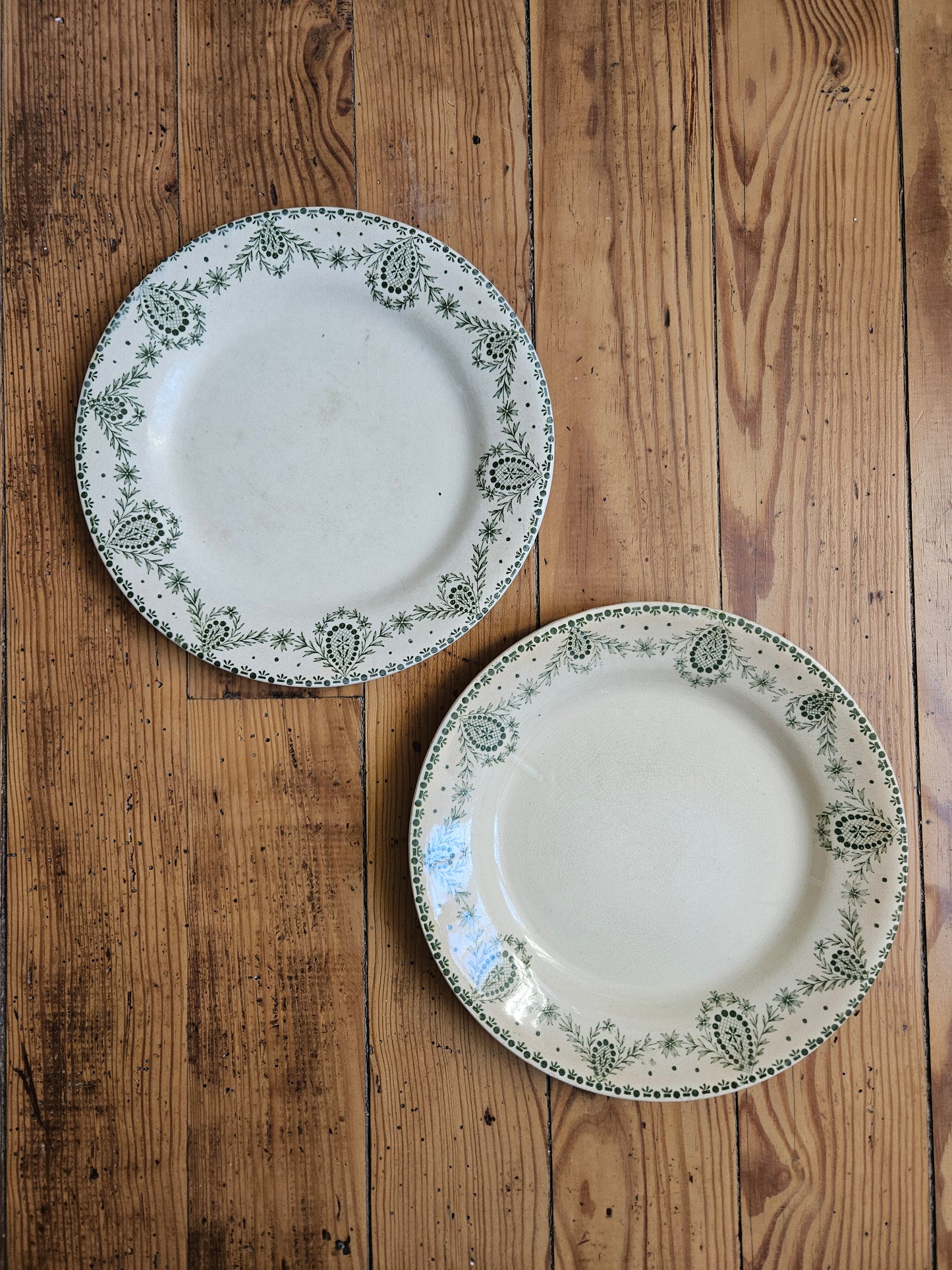 Assiettes plates dépareillées Creil et Montereau vertes