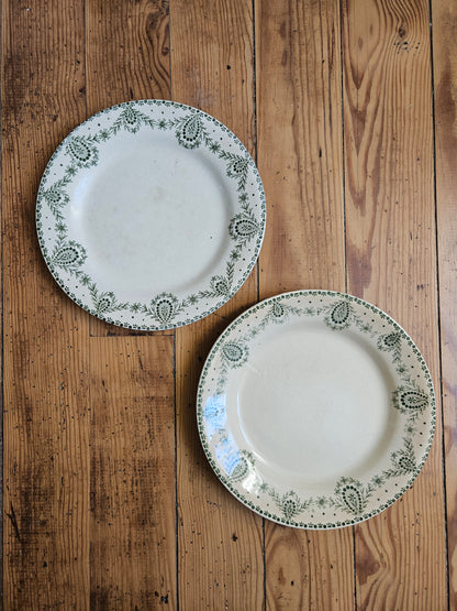 Assiettes plates dépareillées Creil et Montereau vertes