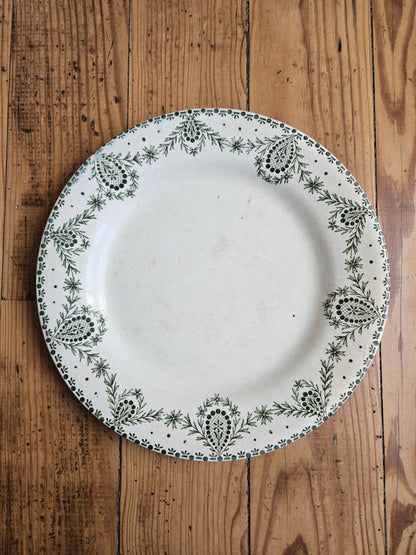 Assiettes plates dépareillées Creil et Montereau vertes
