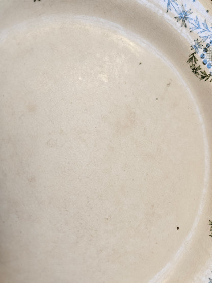 Assiettes plates dépareillées Creil et Montereau vertes